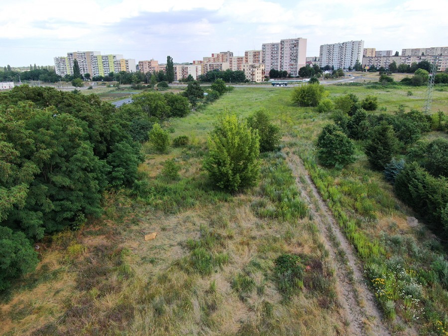 Działka na sprzedaż Szczecin, Zdroje 6 266 m2 | Arka Nieruchomości