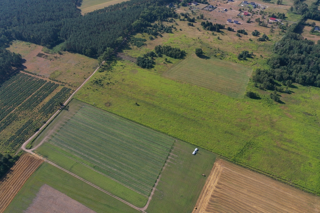 Działka na sprzedaż Żółwia Błoć 1 375 m2 | Arka Nieruchomości