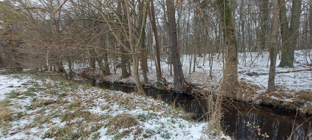 Działka na sprzedaż Budzieszowce 3 800 m2 | Arka Nieruchomości