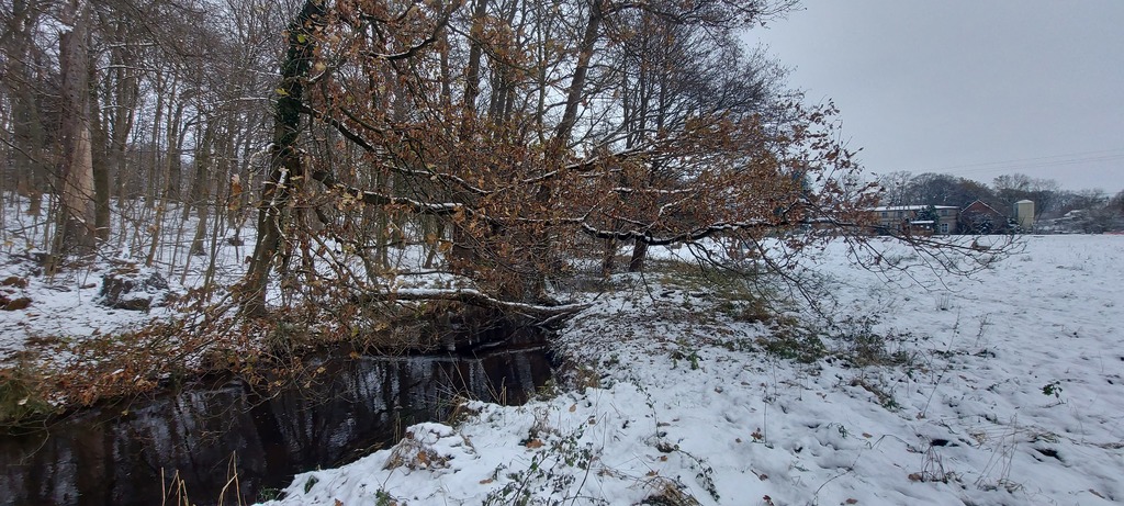 Działka na sprzedaż Budzieszowce 3 800 m2 | Arka Nieruchomości