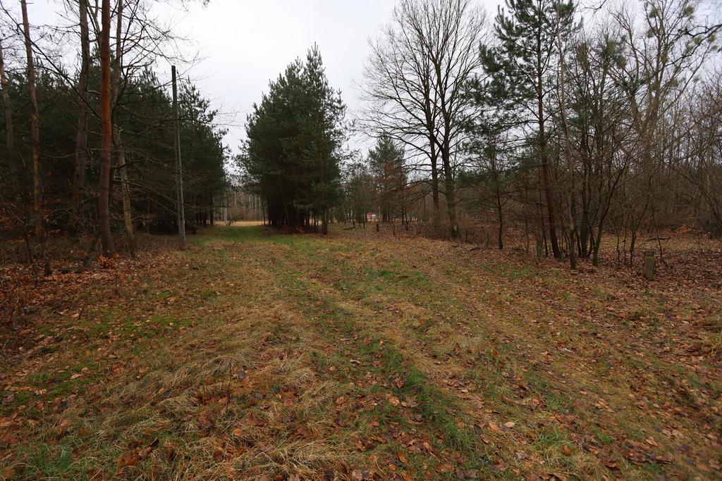 Działka na sprzedaż Krzywice 3 249 m2 | Arka Nieruchomości