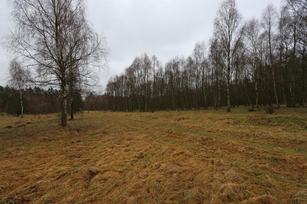 Działka na sprzedaż Krzywice 3 249 m2 | Arka Nieruchomości