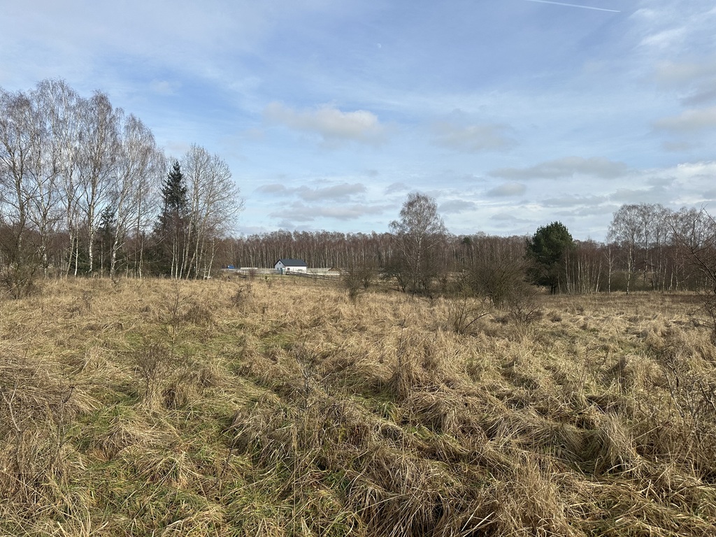 Działka na sprzedaż Storkowo 3 065 m2 | Arka Nieruchomości
