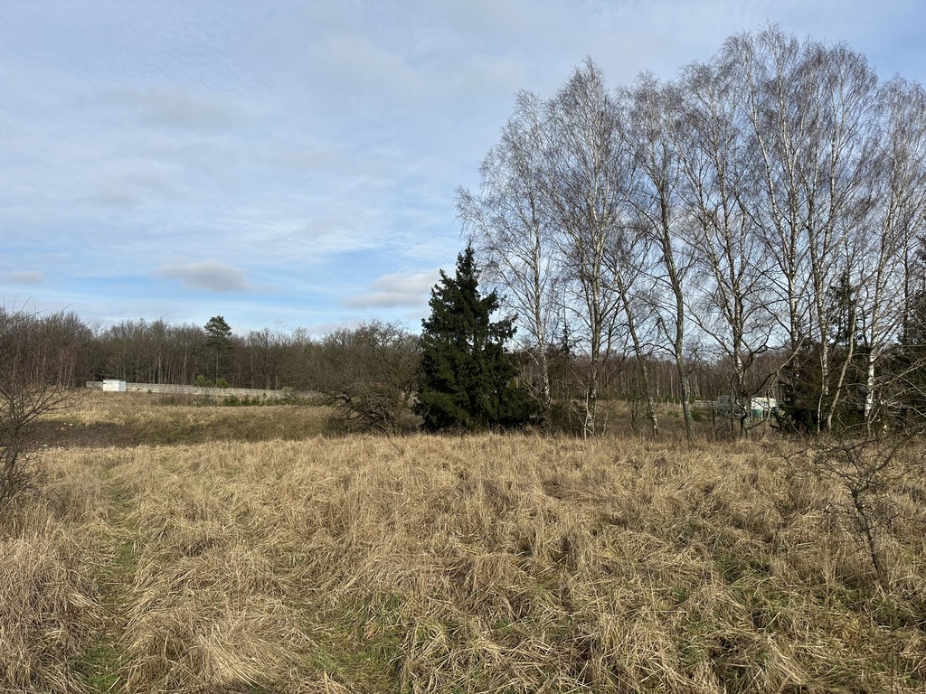 Działka na sprzedaż Storkowo 3 065 m2 | Arka Nieruchomości