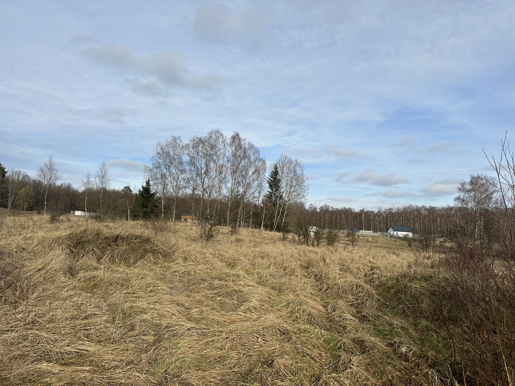 Działka na sprzedaż Storkowo 3 065 m2 | Arka Nieruchomości