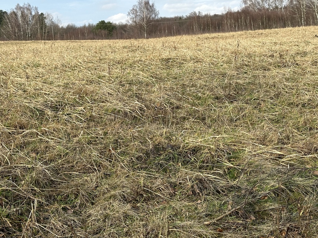 Działka na sprzedaż Storkowo 3 065 m2 | Arka Nieruchomości