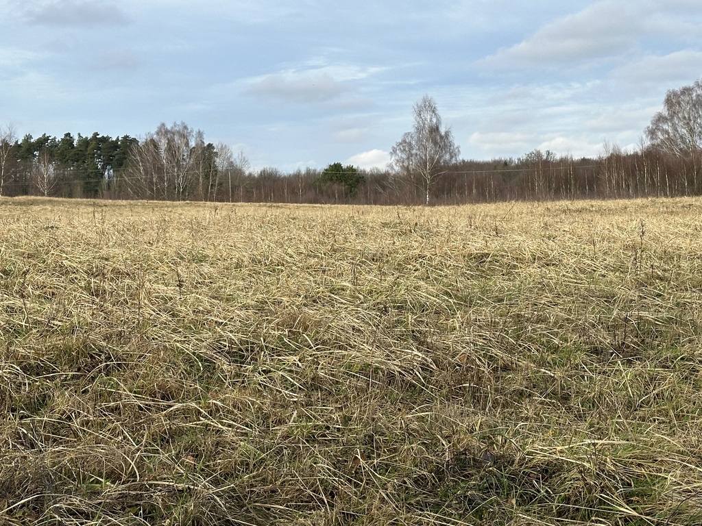 Działka na sprzedaż Storkowo 3 065 m2 | Arka Nieruchomości
