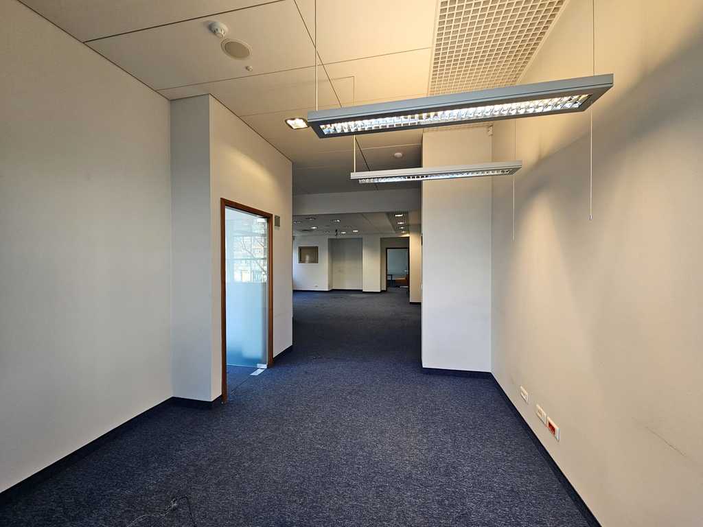 Lokal na wynajem Szczecin, Centrum 155 m2 | Arka Nieruchomości