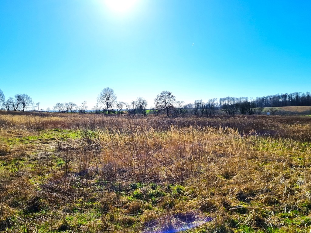 Działka na sprzedaż Kołowo 3 008 m2 | Arka Nieruchomości