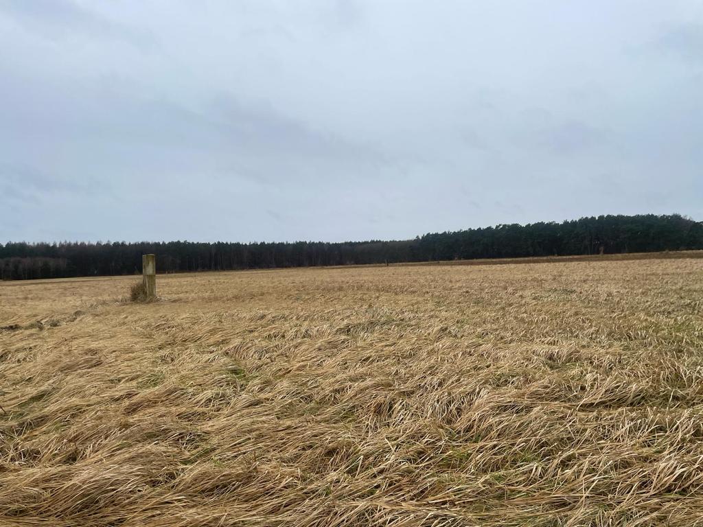 Działka na sprzedaż Białuń 1 000 m2 | Arka Nieruchomości