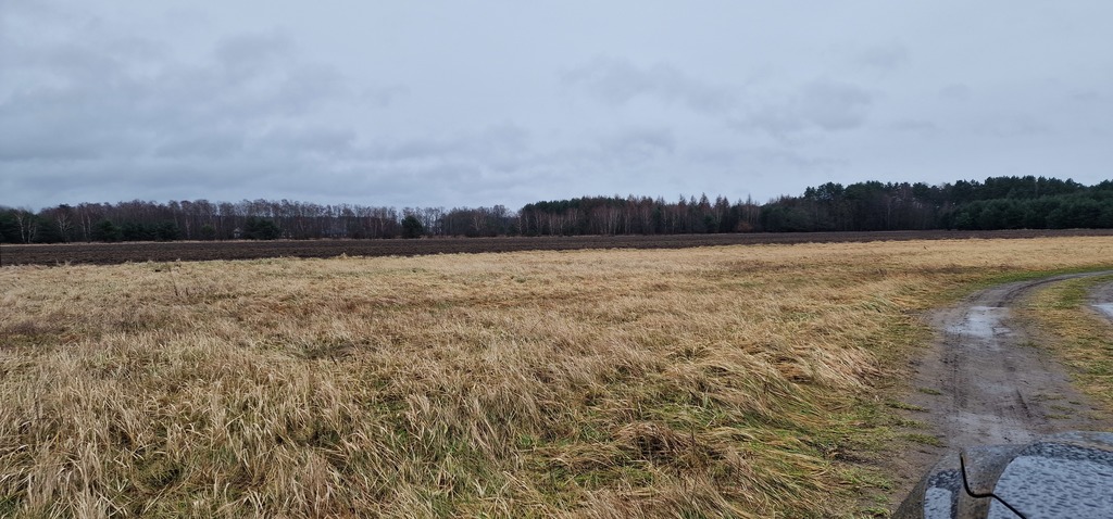 Działka na sprzedaż Białuń 1 000 m2 | Arka Nieruchomości