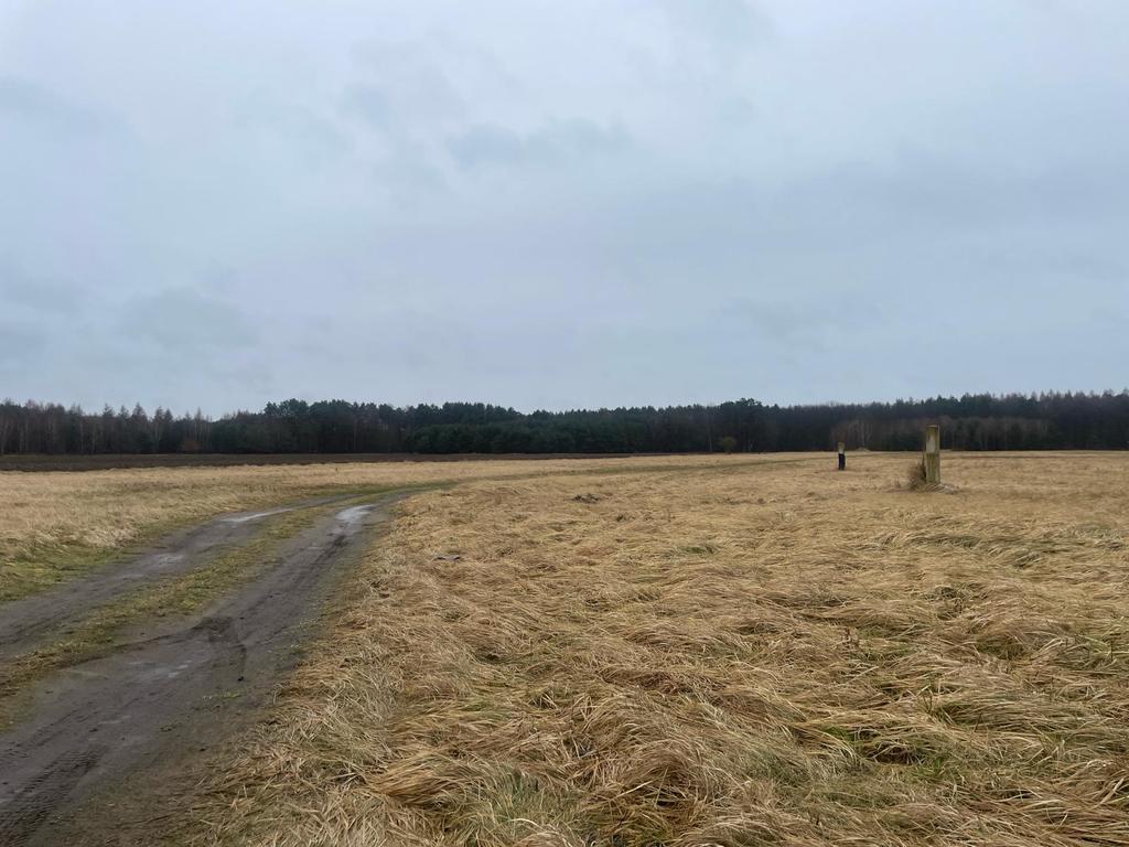 Działka na sprzedaż Białuń 1 000 m2 | Arka Nieruchomości