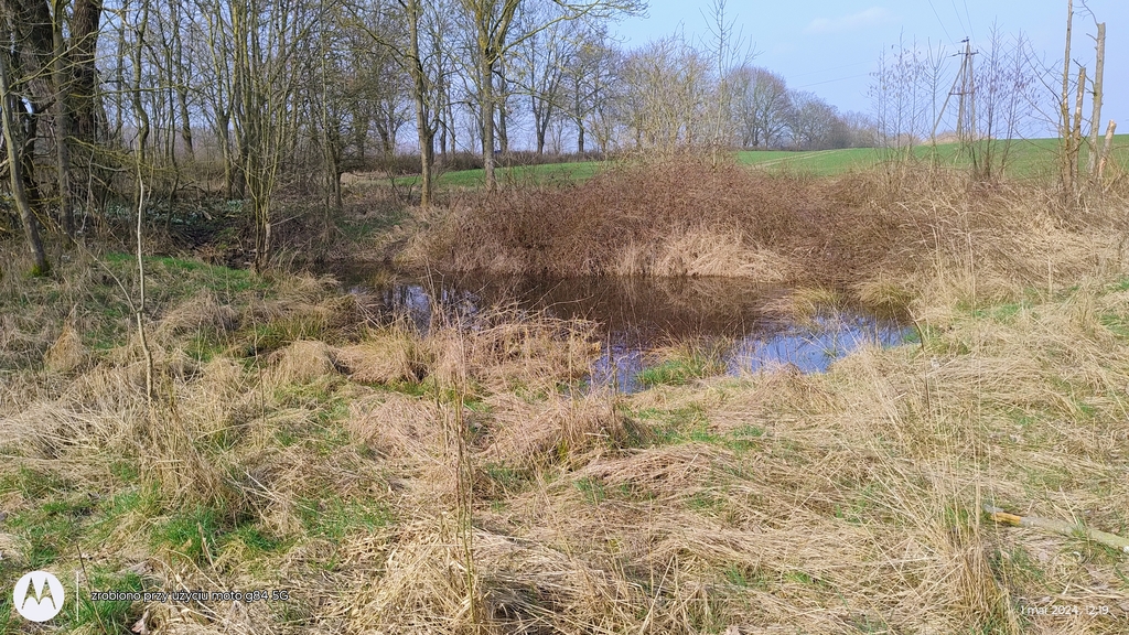 Działka na sprzedaż Dębina 4 300 m2 | Arka Nieruchomości