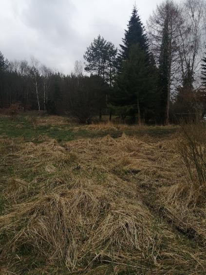 Działka na sprzedaż Stawno 1 100 m2 | Arka Nieruchomości