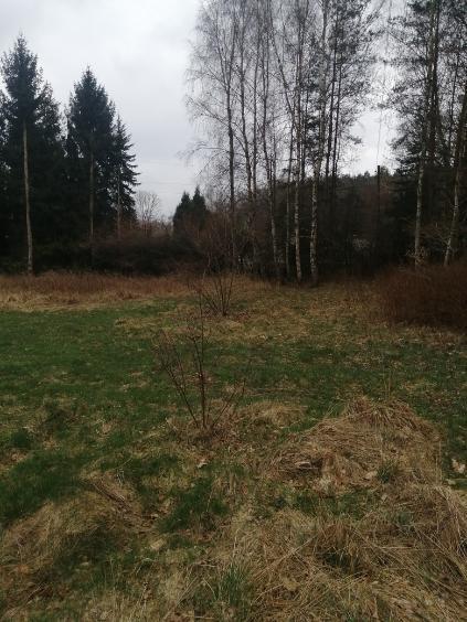 Działka na sprzedaż Stawno 1 100 m2 | Arka Nieruchomości