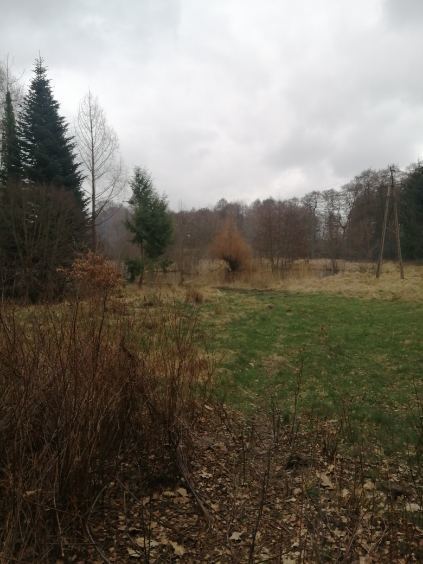 Działka na sprzedaż Stawno 1 099 m2 | Arka Nieruchomości