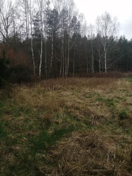 Działka na sprzedaż Stawno 1 099 m2 | Arka Nieruchomości