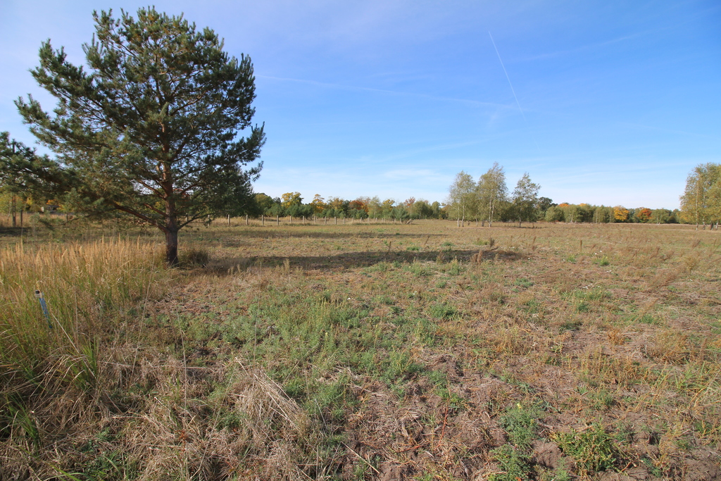 Działka na sprzedaż Grzepnica 1 500 m2 | Arka Nieruchomości