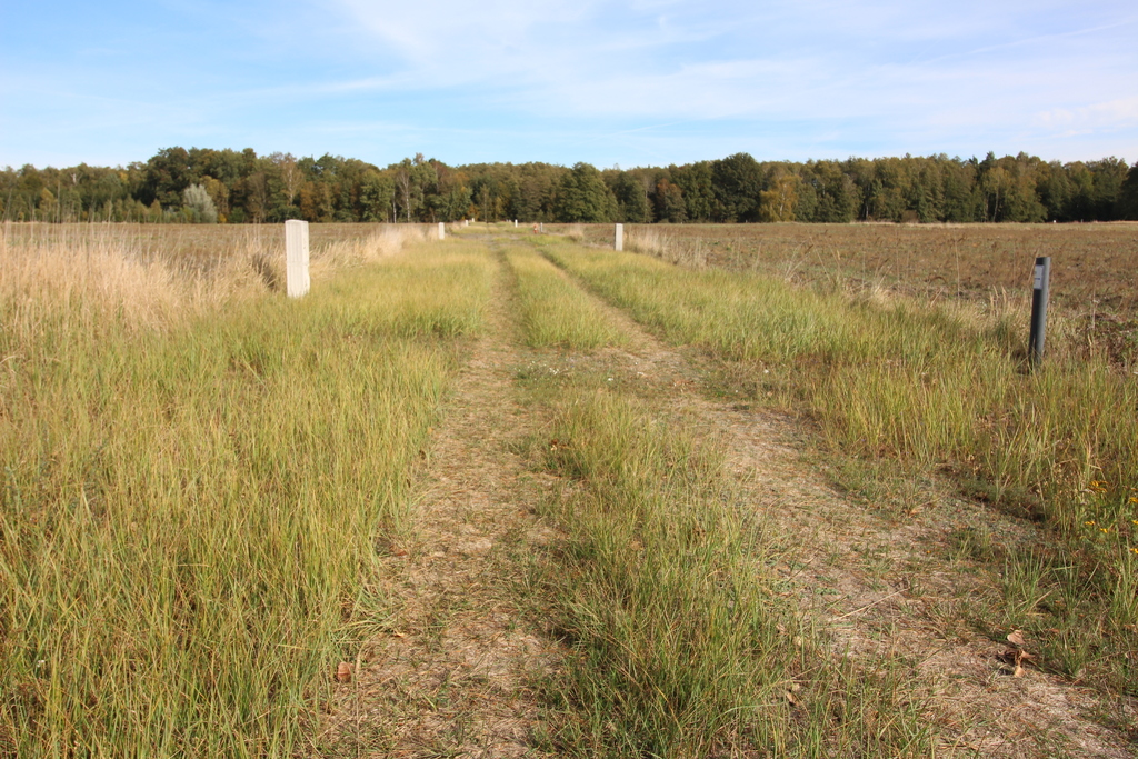 Działka na sprzedaż Grzepnica 1 500 m2 | Arka Nieruchomości