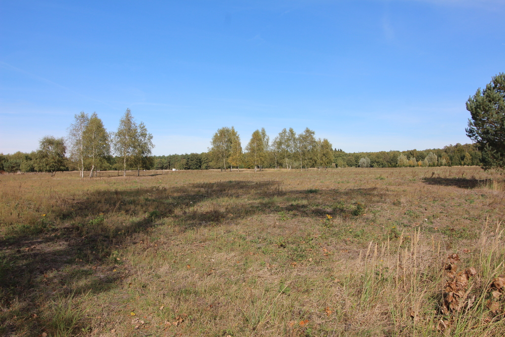 Działka na sprzedaż Grzepnica 1 500 m2 | Arka Nieruchomości