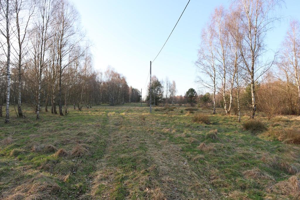 Działka na sprzedaż Krzywice 28 987 m2 | Arka Nieruchomości