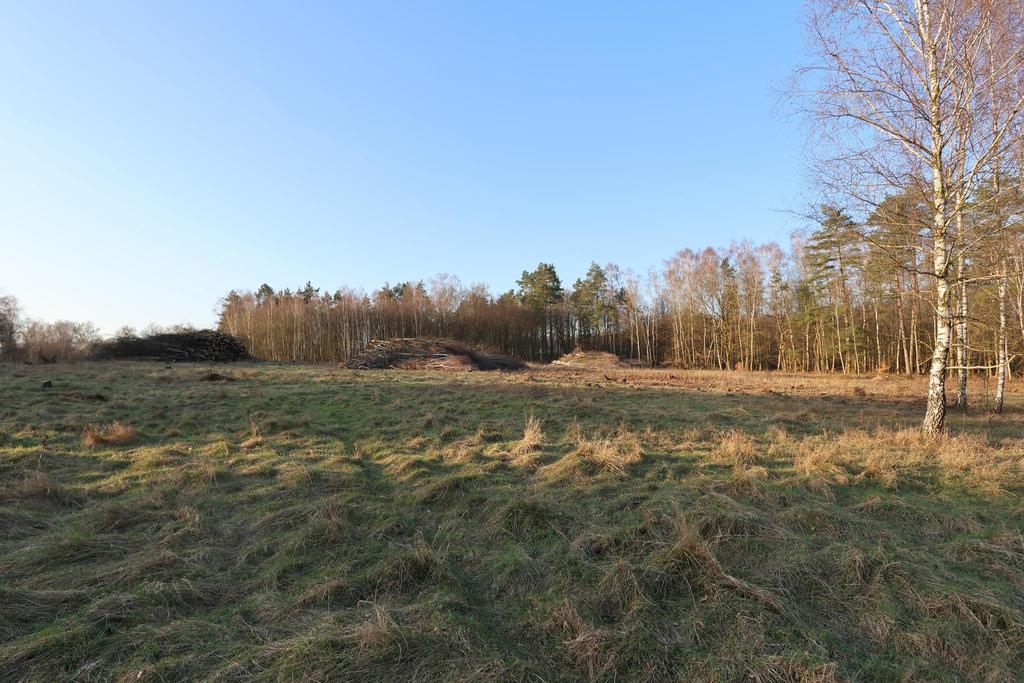 Działka na sprzedaż Krzywice 28 987 m2 | Arka Nieruchomości