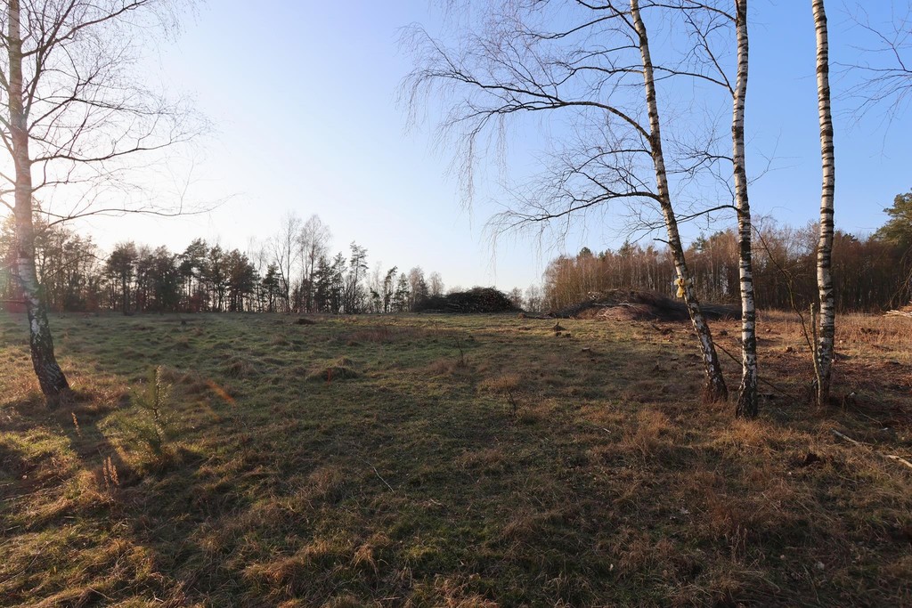 Działka na sprzedaż Krzywice 28 987 m2 | Arka Nieruchomości