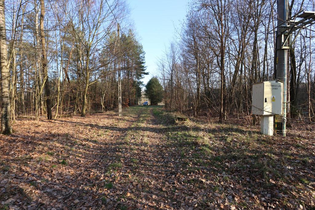 Działka na sprzedaż Krzywice 28 987 m2 | Arka Nieruchomości