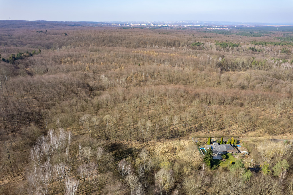 Działka na sprzedaż Szczecin, Płonia 3 902 m2 | Arka Nieruchomości