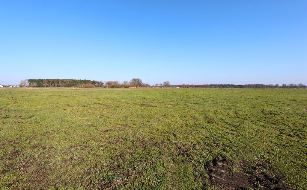 Działka na sprzedaż Lubczyna 3 000 m2 | Arka Nieruchomości