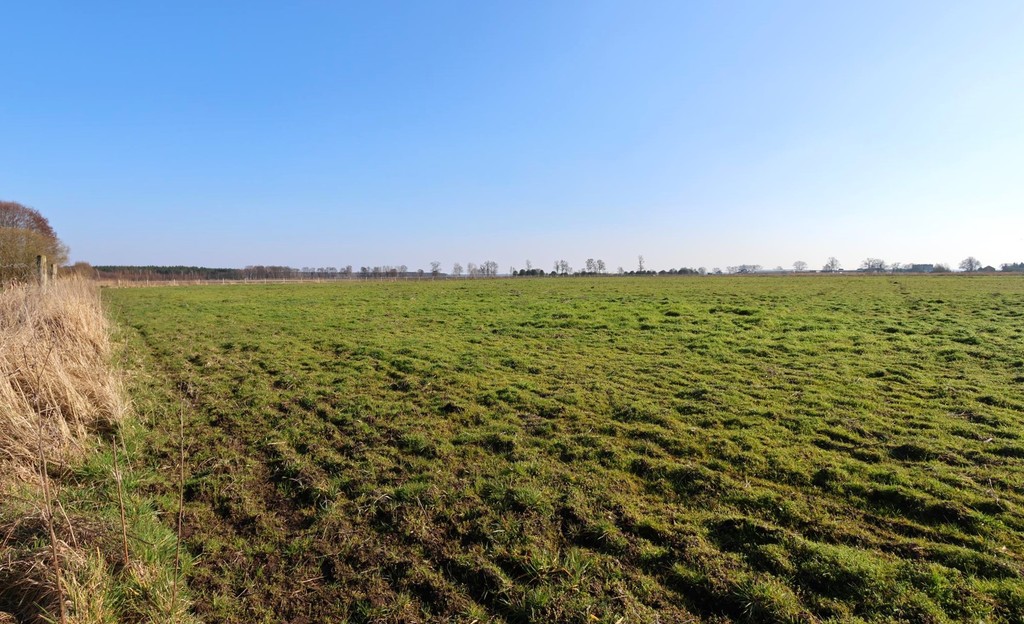 Działka na sprzedaż Lubczyna 3 000 m2 | Arka Nieruchomości