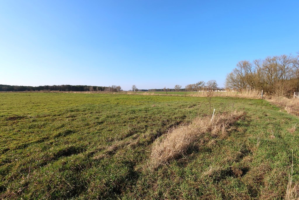 Działka na sprzedaż Lubczyna 3 000 m2 | Arka Nieruchomości