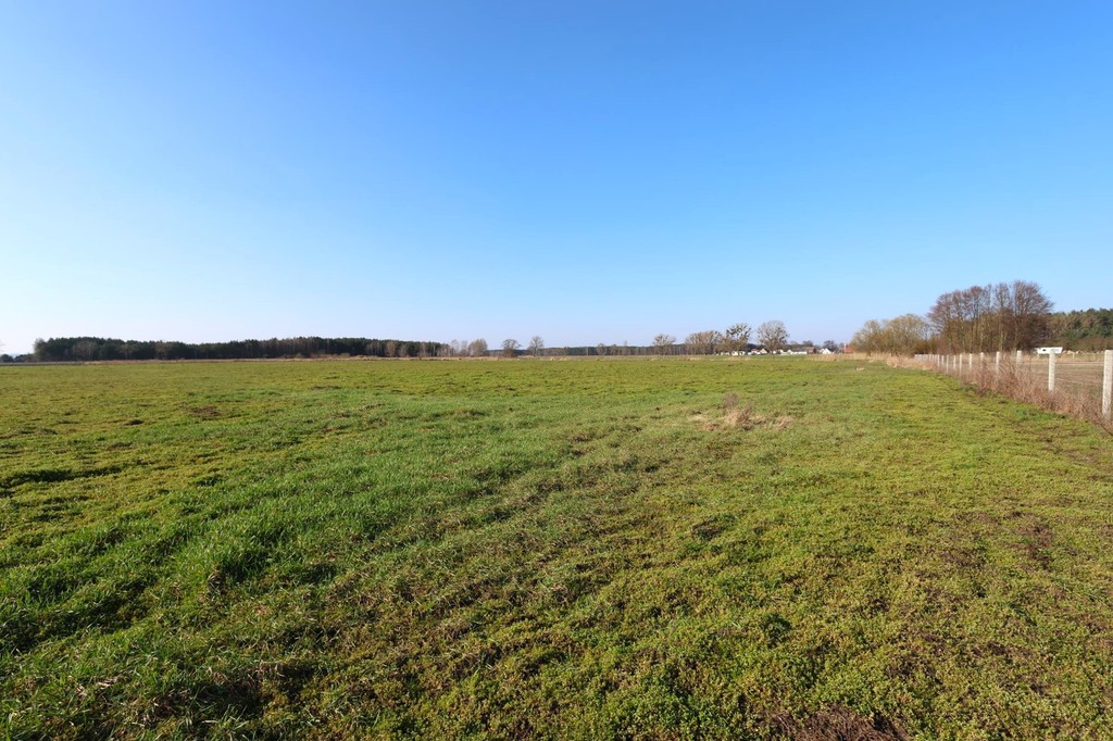 Działka na sprzedaż Lubczyna 3 000 m2 | Arka Nieruchomości