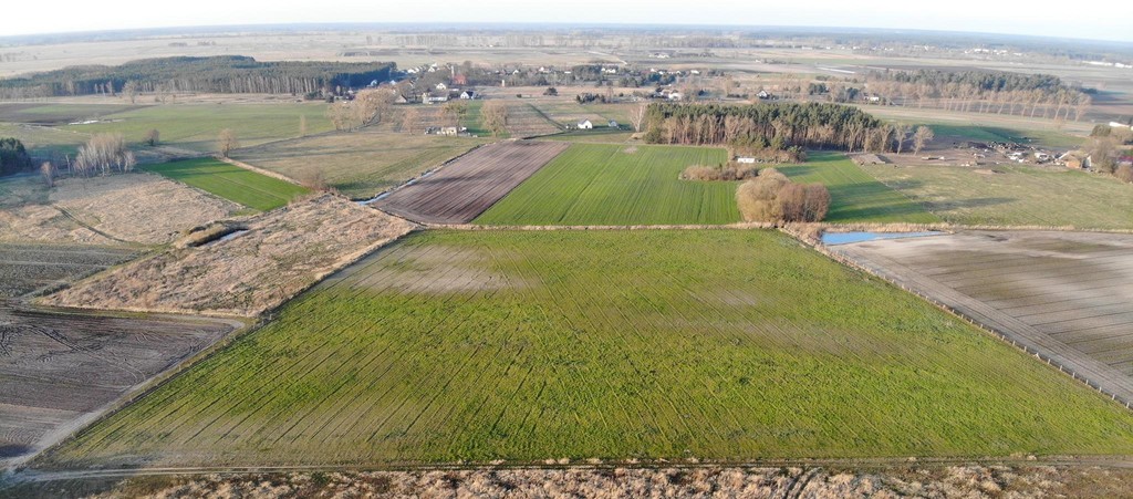 Działka na sprzedaż Lubczyna 3 000 m2 | Arka Nieruchomości