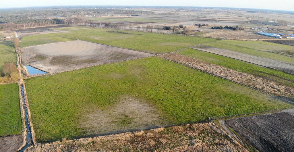 Działka na sprzedaż Lubczyna 3 000 m2 | Arka Nieruchomości