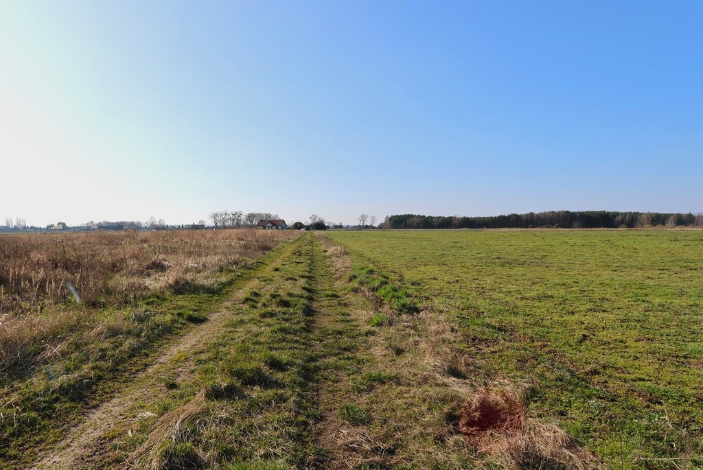 Działka na sprzedaż Lubczyna 3 000 m2 | Arka Nieruchomości