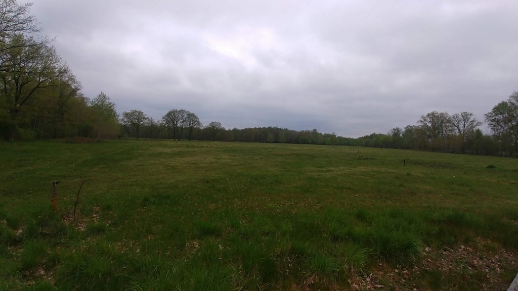 Działka na sprzedaż Rzędziny 3 207 m2 | Arka Nieruchomości