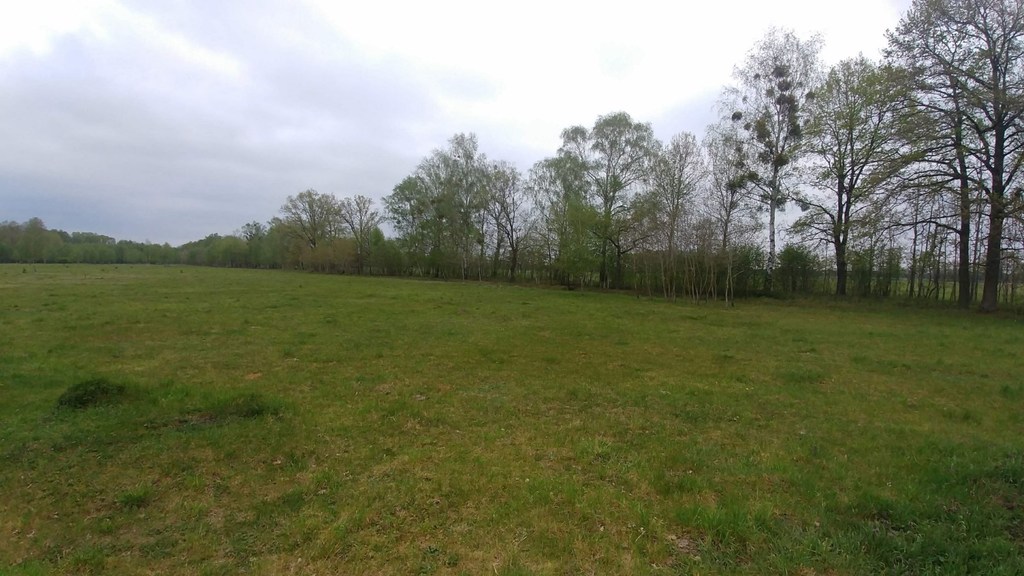 Działka na sprzedaż Rzędziny 3 207 m2 | Arka Nieruchomości