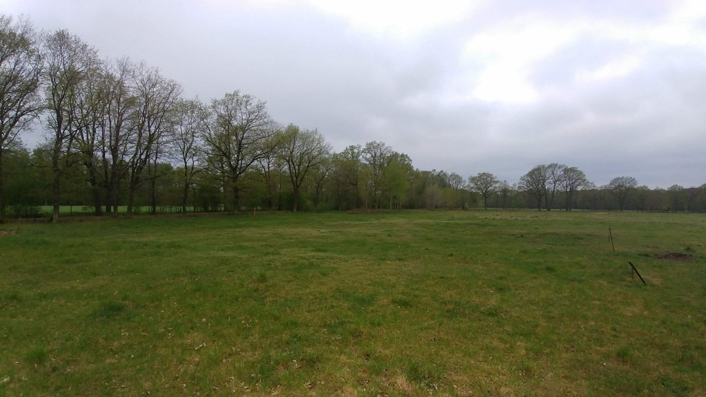 Działka na sprzedaż Rzędziny 3 207 m2 | Arka Nieruchomości