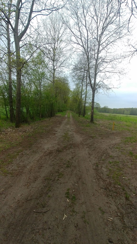 Działka na sprzedaż Rzędziny 3 207 m2 | Arka Nieruchomości