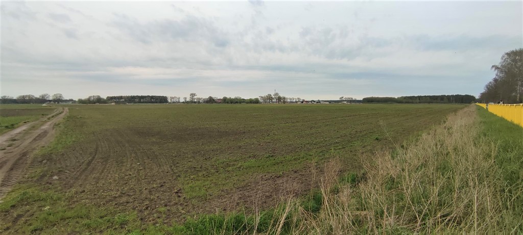 Działka na sprzedaż Lubczyna 7 387 m2 | Arka Nieruchomości