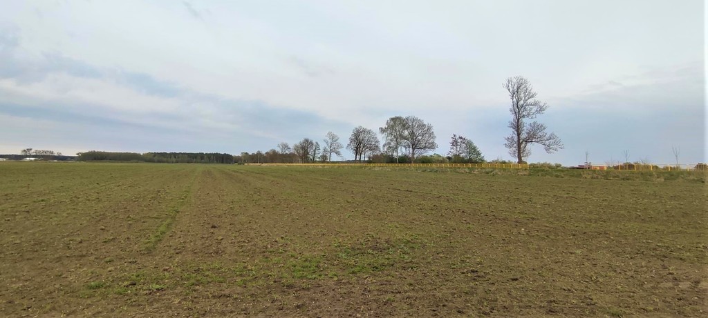 Działka na sprzedaż Lubczyna 7 387 m2 | Arka Nieruchomości