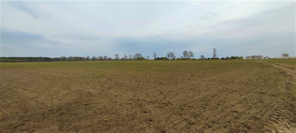 Działka na sprzedaż Lubczyna 4 258 m2 | Arka Nieruchomości