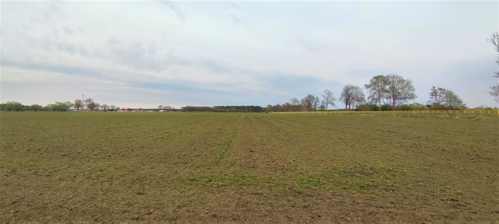 Działka na sprzedaż Lubczyna 4 258 m2 | Arka Nieruchomości