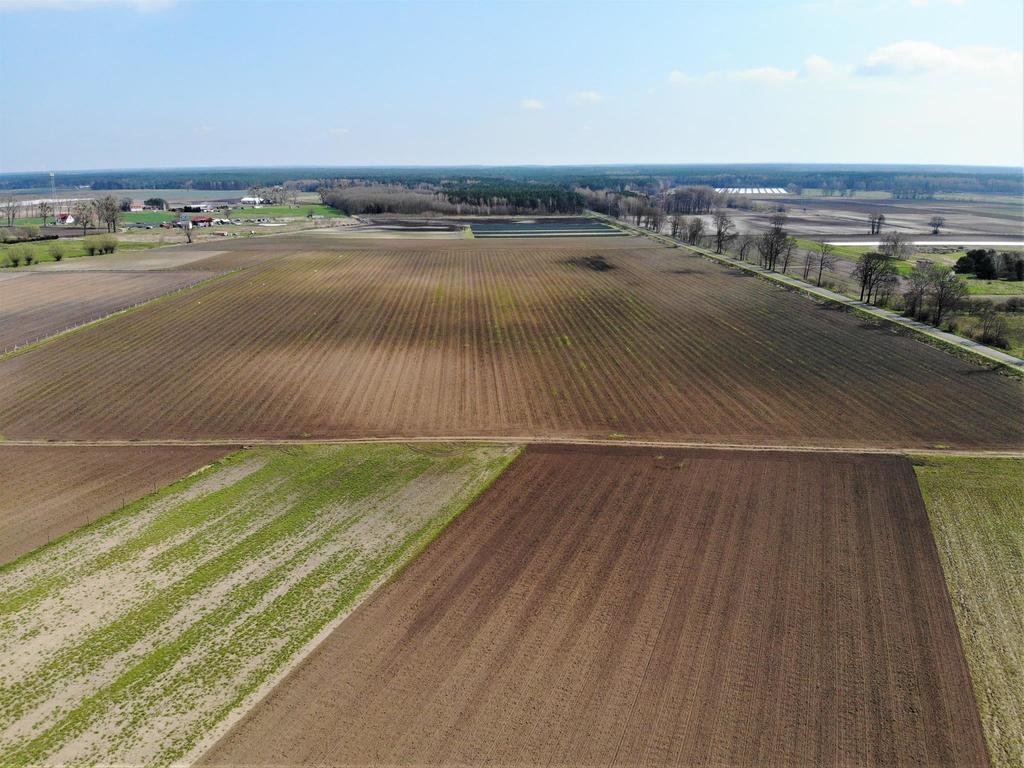 Działka na sprzedaż Lubczyna 4 258 m2 | Arka Nieruchomości