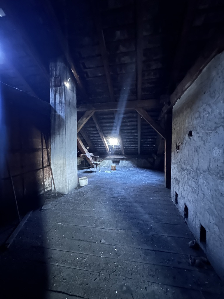 Obiekt na sprzedaż Trzcińsko-Zdrój 640 m2 | Arka Nieruchomości