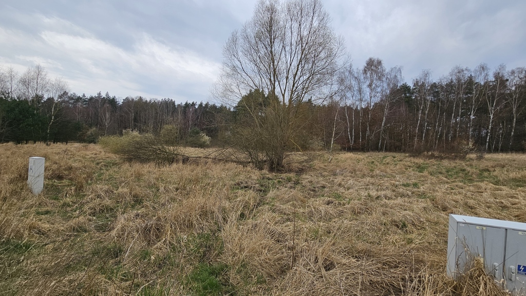 Działka na sprzedaż Dołuje 2 938 m2 | Arka Nieruchomości