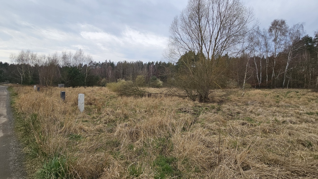 Działka na sprzedaż Dołuje 2 938 m2 | Arka Nieruchomości