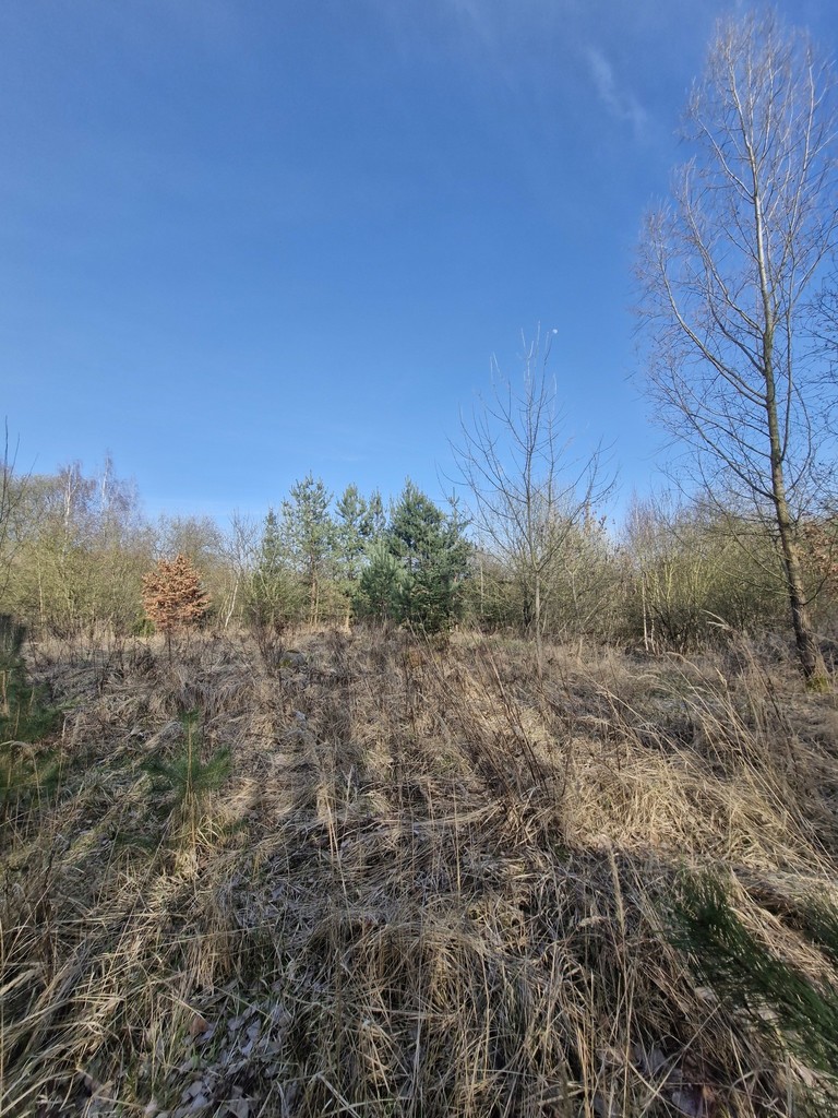 Działka na sprzedaż Stare Czarnowo 3 400 m2 | Arka Nieruchomości