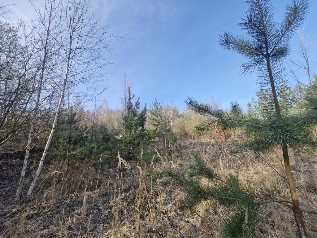 Działka na sprzedaż Stare Czarnowo 3 400 m2 | Arka Nieruchomości